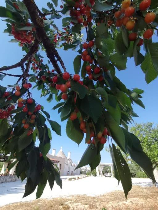Trullo La Chicca Della Valle ชิสแตร์นีโน ภายนอก รูปภาพ