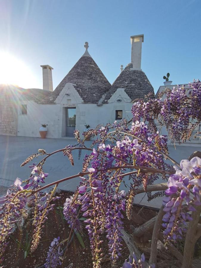Trullo La Chicca Della Valle ชิสแตร์นีโน ภายนอก รูปภาพ